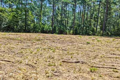 Lot 1 County Road 1240, Pittsburg, TX 75686 - Photo 21