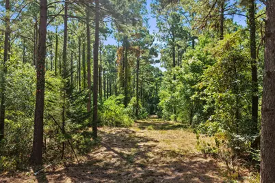 Lot 1 County Road 1240, Pittsburg, TX 75686 - Photo 13