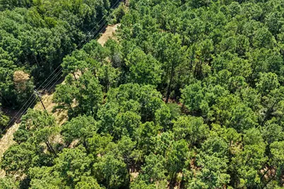 Lot 2 County Road 1240, Pittsburg, TX 75686 - Photo 7