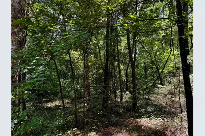 Lot 2 County Road 1240, Pittsburg, TX 75686 - Photo 13