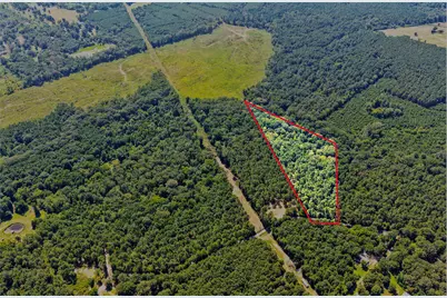 Lot 2 County Road 1240, Pittsburg, TX 75686 - Photo 1