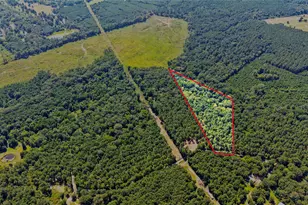 Lot 2 County Road 1240, Pittsburg, TX 75686 - Photo 1