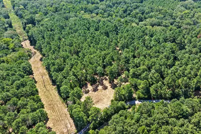 Lot 2 County Road 1240, Pittsburg, TX 75686 - Photo 5