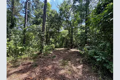 Lot 2 County Road 1240, Pittsburg, TX 75686 - Photo 15
