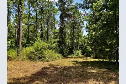 Lot 2 County Road 1240, Pittsburg, TX 75686 - Photo 11