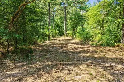 Lot 2 County Road 1240, Pittsburg, TX 75686 - Photo 23
