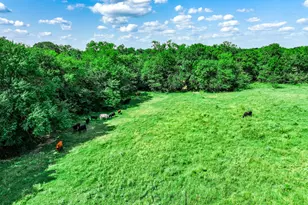 7801 W Interstate Hwy 30, Cumby, TX 75433 - Photo 19