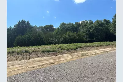 Lot 11 County Road 1110, Farmersville, TX 75442 - Photo 3