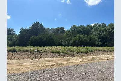 Lot 11 County Road 1110, Farmersville, TX 75442 - Photo 1