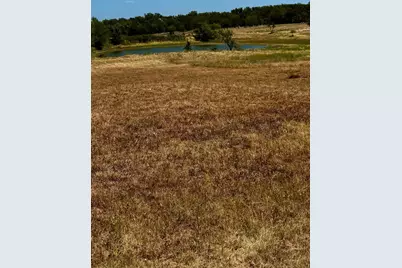 2005 Hilltop Cove, Springtown, TX 76082 - Photo 3
