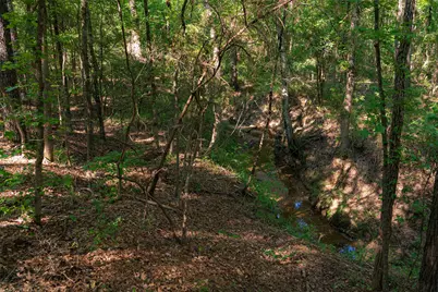 0 County Road 3302, Brownsboro, TX 75756 - Photo 29