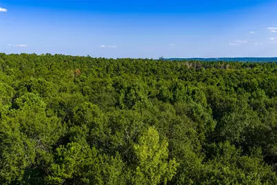 0 County Road 3302, Brownsboro, TX 75756 - Photo 7