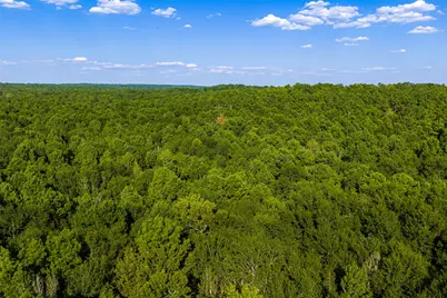 0 County Road 3302, Brownsboro, TX 75756 - Photo 21