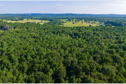 0 County Road 3302, Brownsboro, TX 75756 - Photo 27