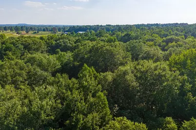 0 County Road 3302, Brownsboro, TX 75756 - Photo 23