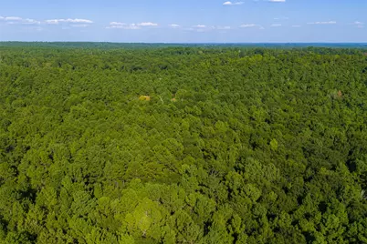 0 County Road 3302, Brownsboro, TX 75756 - Photo 25