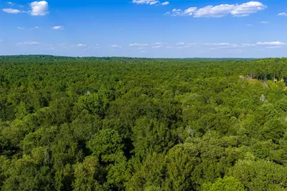 0 County Road 3302, Brownsboro, TX 75756 - Photo 15