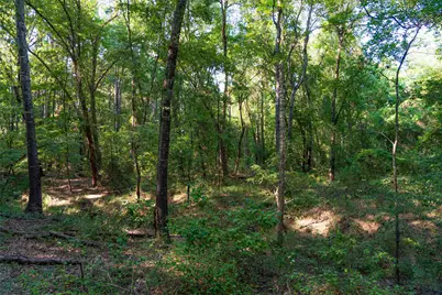 0 County Road 3302, Brownsboro, TX 75756 - Photo 13