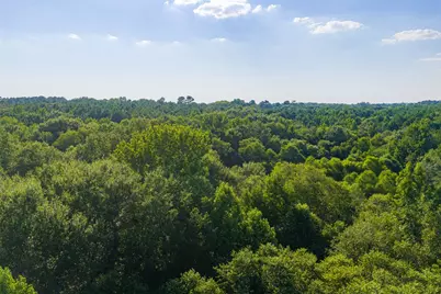0 County Road 3302, Brownsboro, TX 75756 - Photo 19
