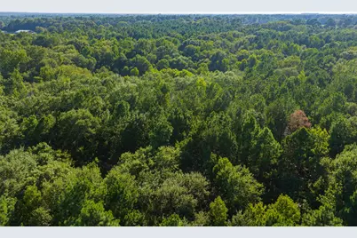 0 County Road 3302, Brownsboro, TX 75756 - Photo 27
