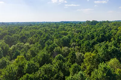 0 County Road 3302, Brownsboro, TX 75756 - Photo 7