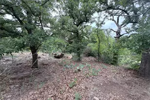 316 Co Rd 458, De Leon, TX 76444 - Photo 9