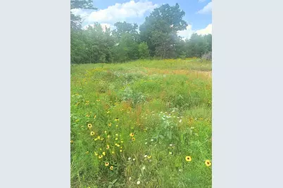 316 County Road 458, De Leon, TX 76444 - Photo 11