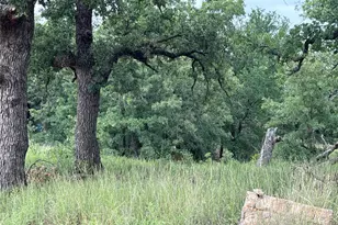 316 Co Rd 458, De Leon, TX 76444 - Photo 17