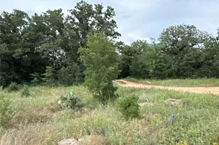 316 Co Rd 458, De Leon, TX 76444 - Photo 19