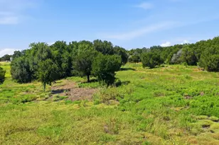 135 Indian Mountain Ct, Granbury, TX 76048 - Photo 27
