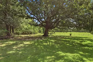 2868 State Hwy 37 N, Clarksville, TX 75426 - Photo 23