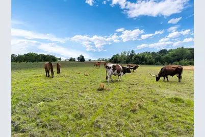 00 D Vz County Road 3804, Wills Point, TX 75169 - Photo 5