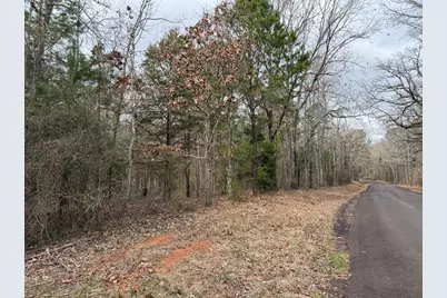 Tbd County Road 3986, Winnsboro, TX 75494 - Photo 21