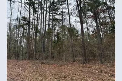 Tbd County Road 3986, Winnsboro, TX 75494 - Photo 15