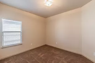 10844 Irish Glen Trail, Fort Worth, TX 76052 - Photo 27