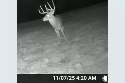 2375 County Road 3080, Ben Franklin, TX 75415 - Photo 39