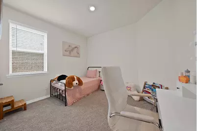 9720 Lariat Drive, Aubrey, TX 76227 - Photo 15