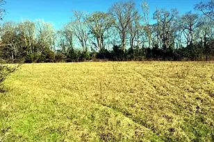 906 W Rusk St, Mount Enterprise, TX 75681 - Photo 5