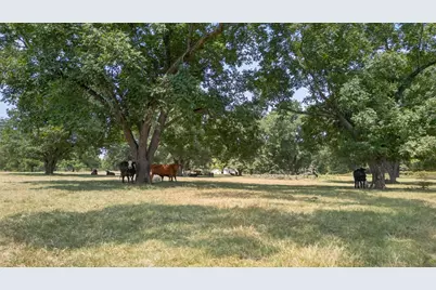 0 State Highway 155, Frankston, TX 75763 - Photo 19