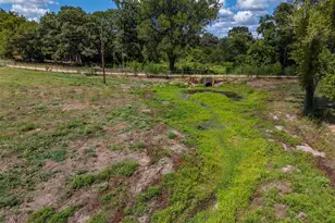 5250 FM 2494, Athens, TX 75751 - Photo 11