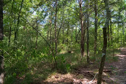 10446 Fm 859, Edgewood, TX 75117 - Photo 19