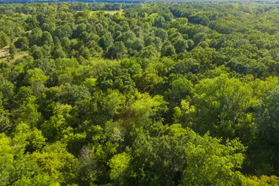 10446 Fm 859, Edgewood, TX 75117 - Photo 39