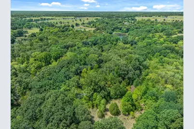 8086 Fm 17, Grand Saline, TX 75140 - Photo 9