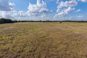 18705 Fm 709 N, Dawson, TX 76639 - Photo 17