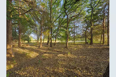 2403 County Road 2224, Decatur, TX 76234 - Photo 33