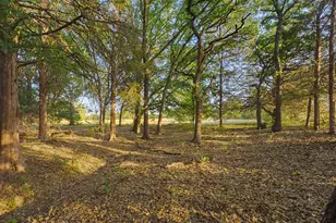 2403 Co Rd 2224, Decatur, TX 76234 - Photo 33