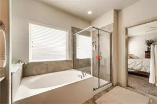313 Delgany Trail, Fort Worth, TX 76052 - Photo 23