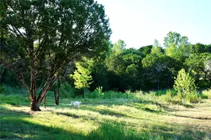 1394 County Rd 313 Spur, Glen Rose, TX 76043 - Photo 19