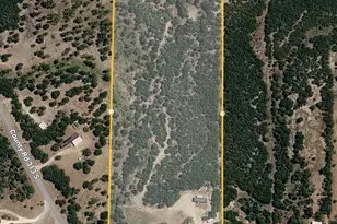 1394 County Rd 313 Spur, Glen Rose, TX 76043 - Photo 23