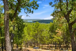 200 White Tail Ridge, Gordon, TX 76453 - Photo 39